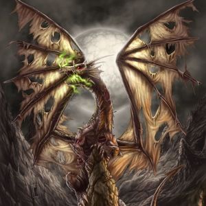 Meet your Posher, Dan